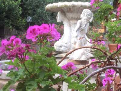 Un dettaglio della fontana principale